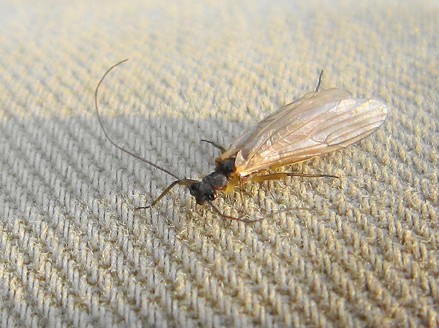 e0202393_2038134.jpg