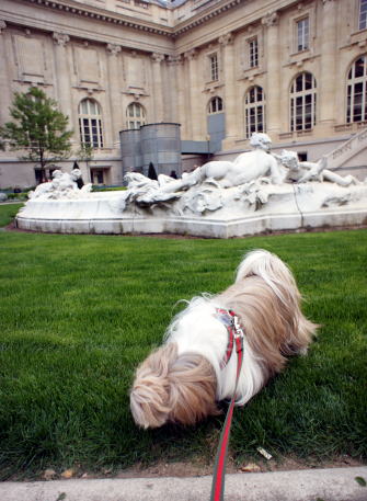 c0090198_6101086.jpg