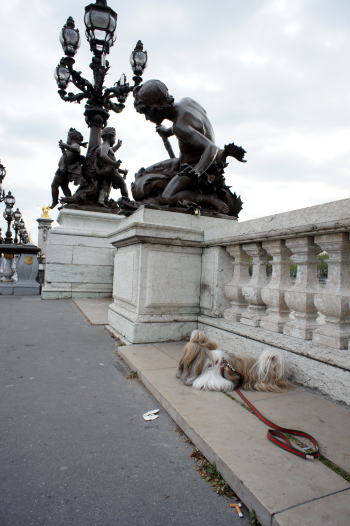 c0090198_694655.jpg