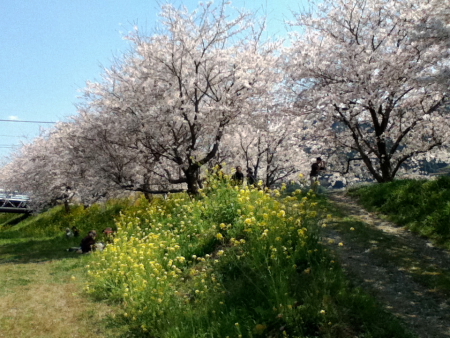 c0129498_23442311.jpg