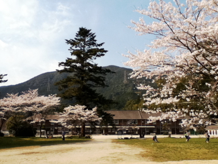c0129498_23462999.jpg