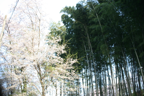 c0129498_234712.jpg