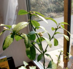 c0151898_1741029.jpg