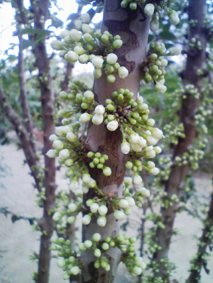 b0028299_2241883.jpg