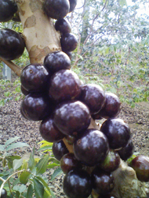 b0028299_22422138.jpg