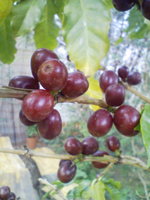 b0028299_22505976.jpg