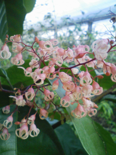b0028299_22563431.jpg