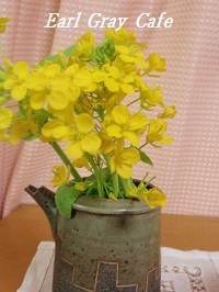 e0207503_8504410.jpg