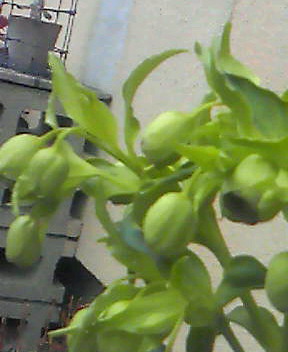 d0165505_1363834.jpg