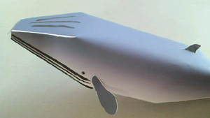 f0048405_1810670.jpg