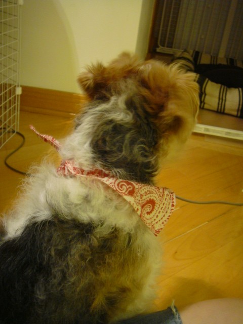 d0200406_053130.jpg