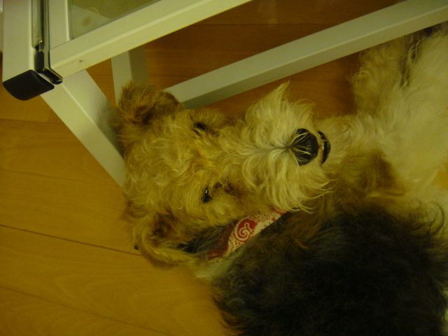 d0200406_15129.jpg