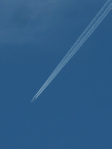 e0065906_12461689.jpg