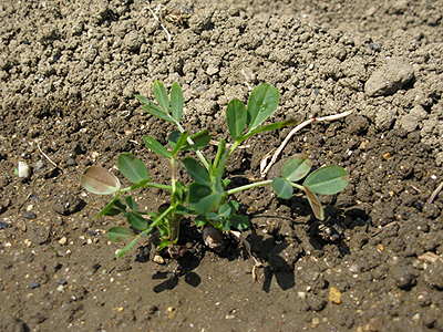 e0065906_12531351.jpg