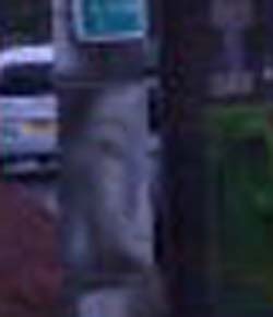 e0103408_4485947.jpg