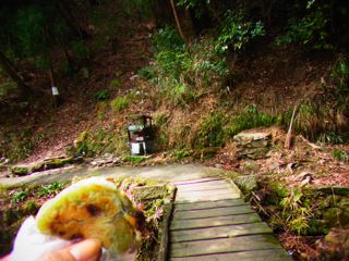b0183911_11351036.jpg