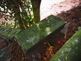 b0183911_11352535.jpg