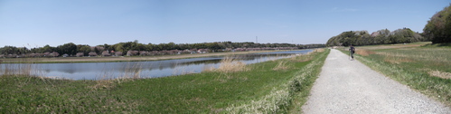 d0078311_1393716.jpg