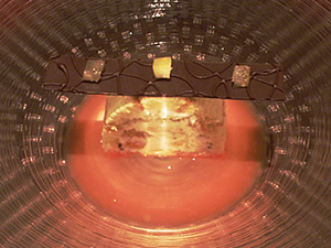a0153913_1711128.jpg