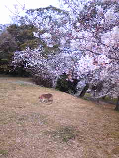 c0029913_18244334.jpg