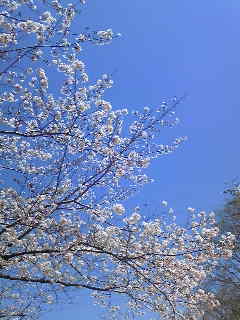 c0029913_18244350.jpg