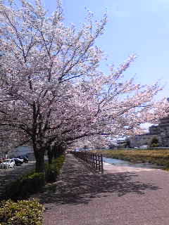 c0029913_18244410.jpg