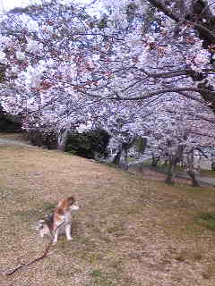 c0029913_18244428.jpg