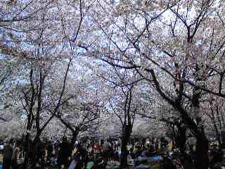 c0029913_18244469.jpg