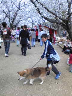 c0029913_18244484.jpg