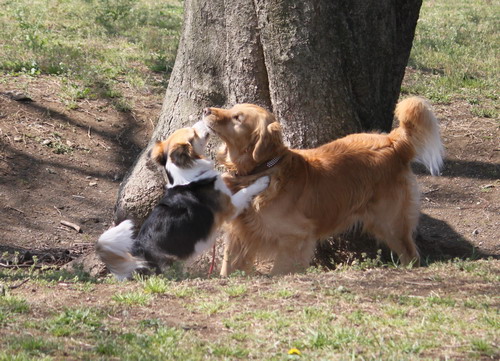 c0101713_15332132.jpg