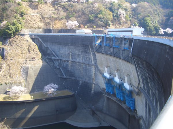 e0033713_1134199.jpg