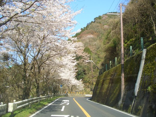 e0033713_11345128.jpg
