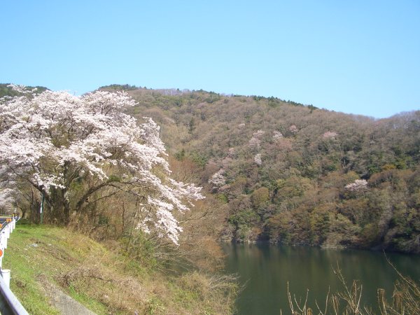e0033713_113493.jpg