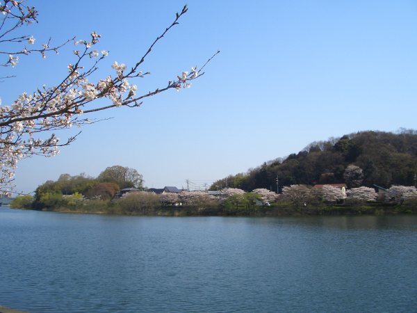 e0033713_11391776.jpg