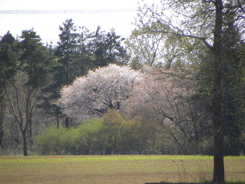 e0204314_1824483.jpg
