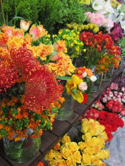 c0120817_715973.jpg