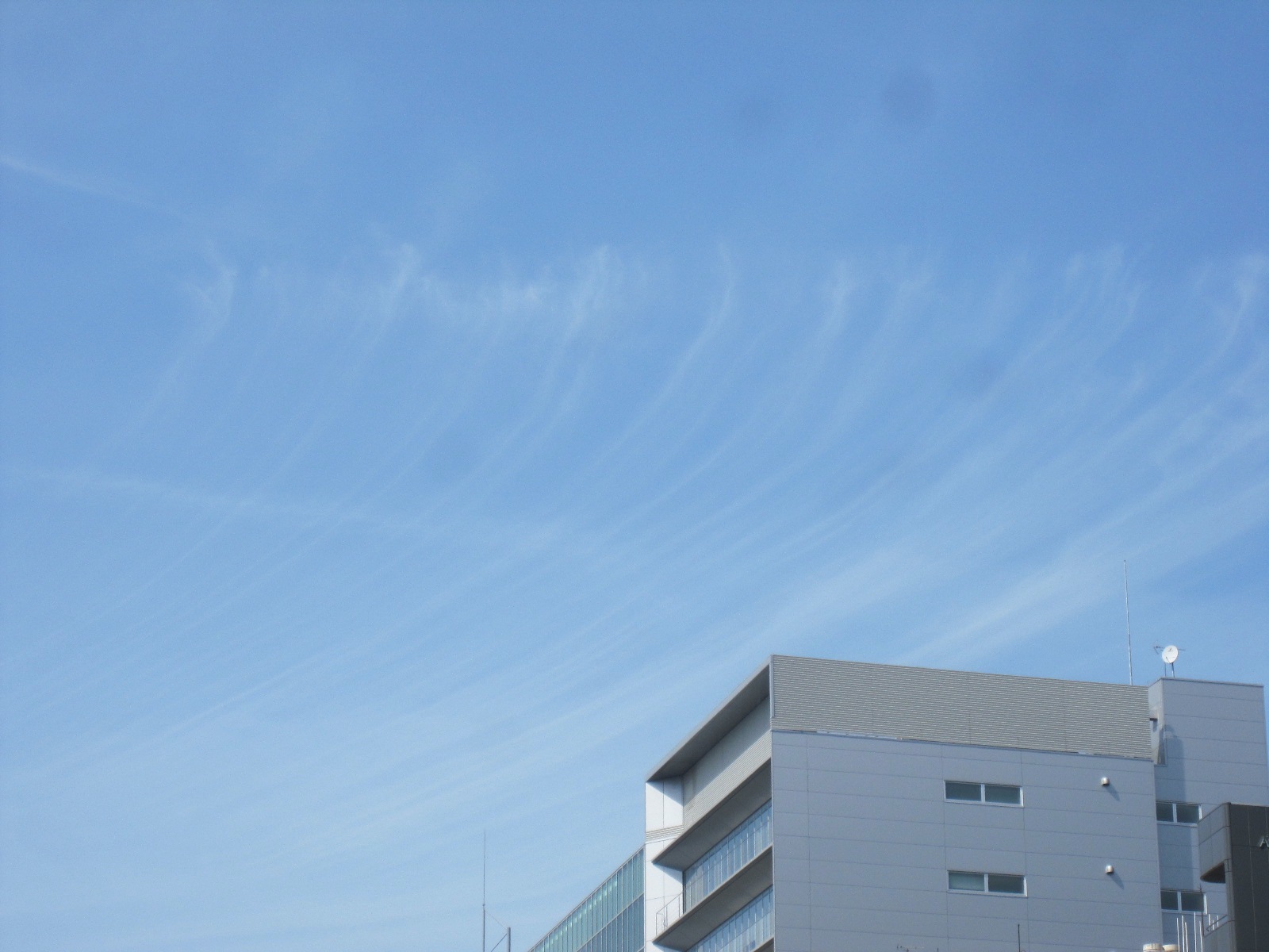 c0225420_175574.jpg