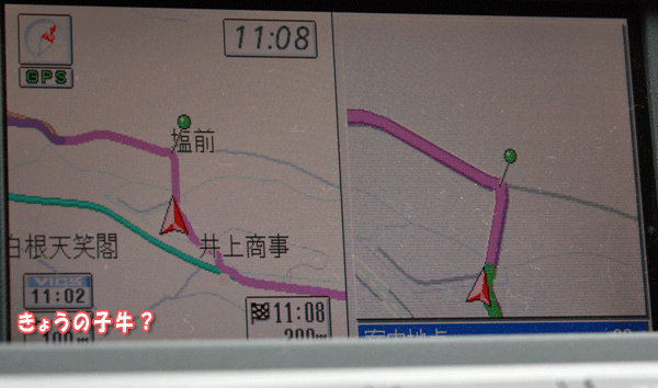f0203423_21224516.gif