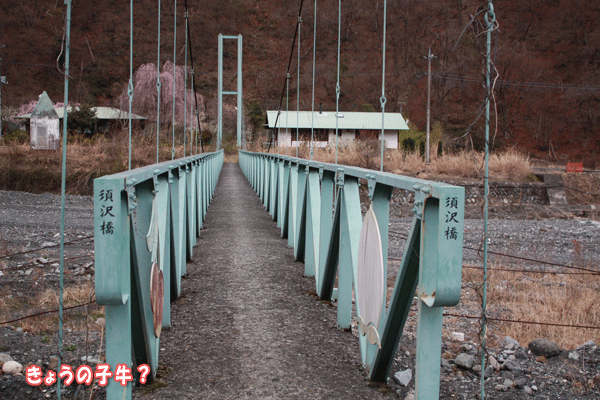 f0203423_21233177.gif