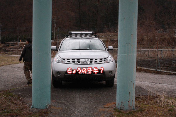 f0203423_21355995.gif