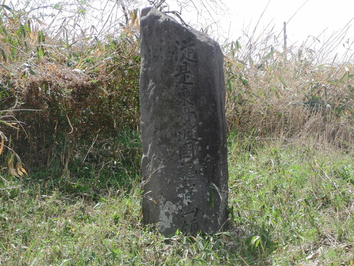 f0111128_230322.jpg