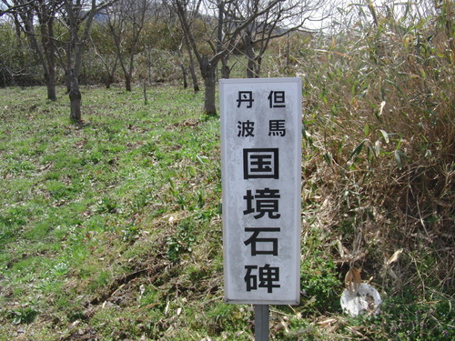 f0111128_2304943.jpg