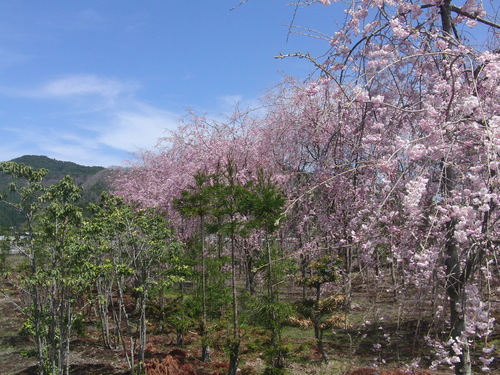 f0111128_230828.jpg