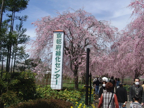 f0111128_2331647.jpg