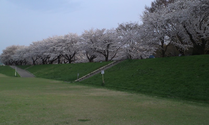 b0134529_2317287.jpg