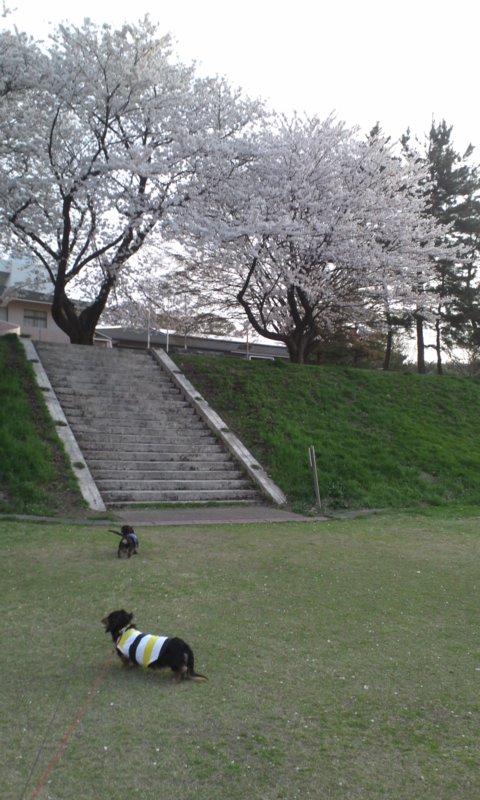 b0134529_2354811.jpg
