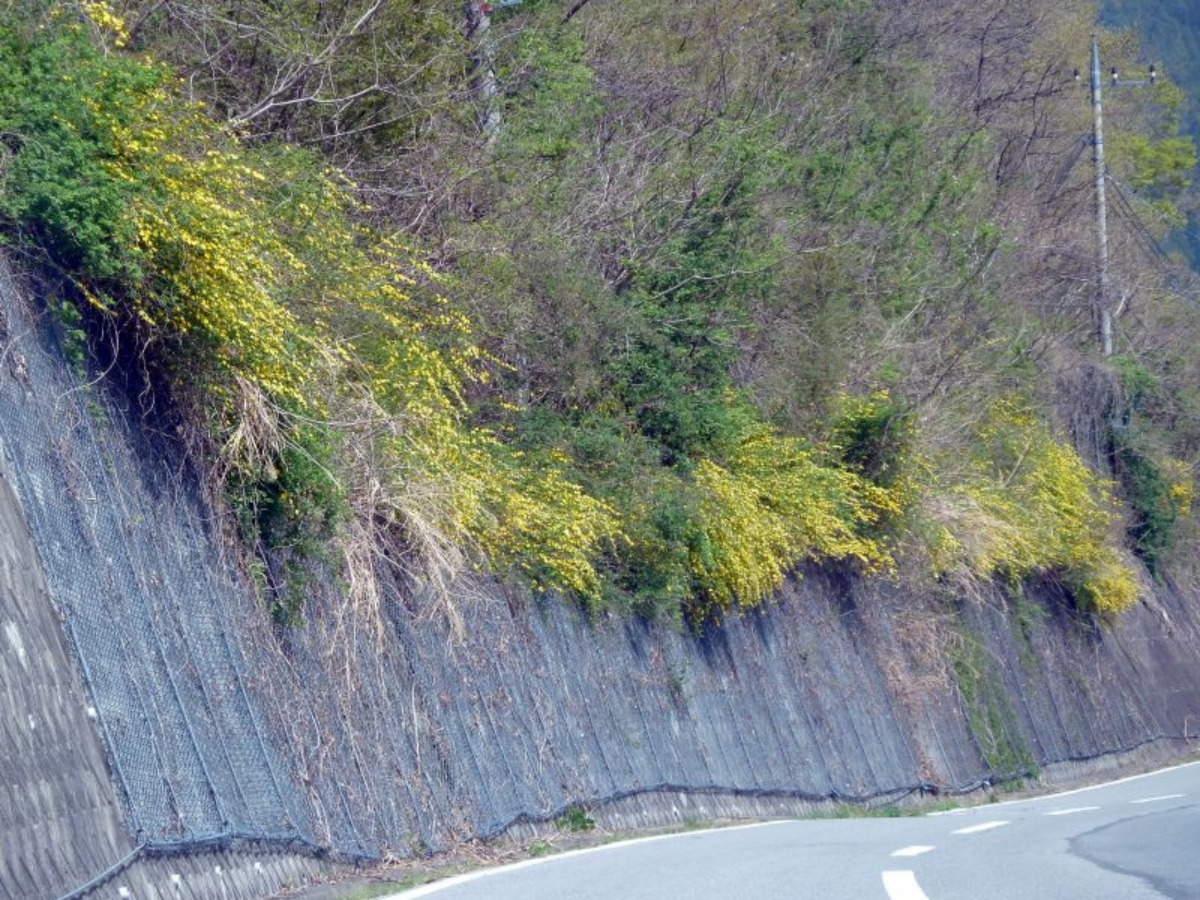 e0033229_21482728.jpg