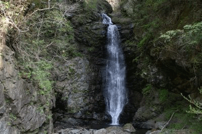 e0033229_22271158.gif