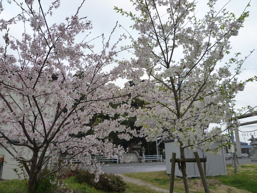 b0138430_1633559.jpg