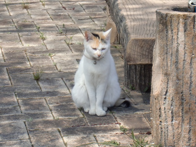 c0001632_17452973.jpg